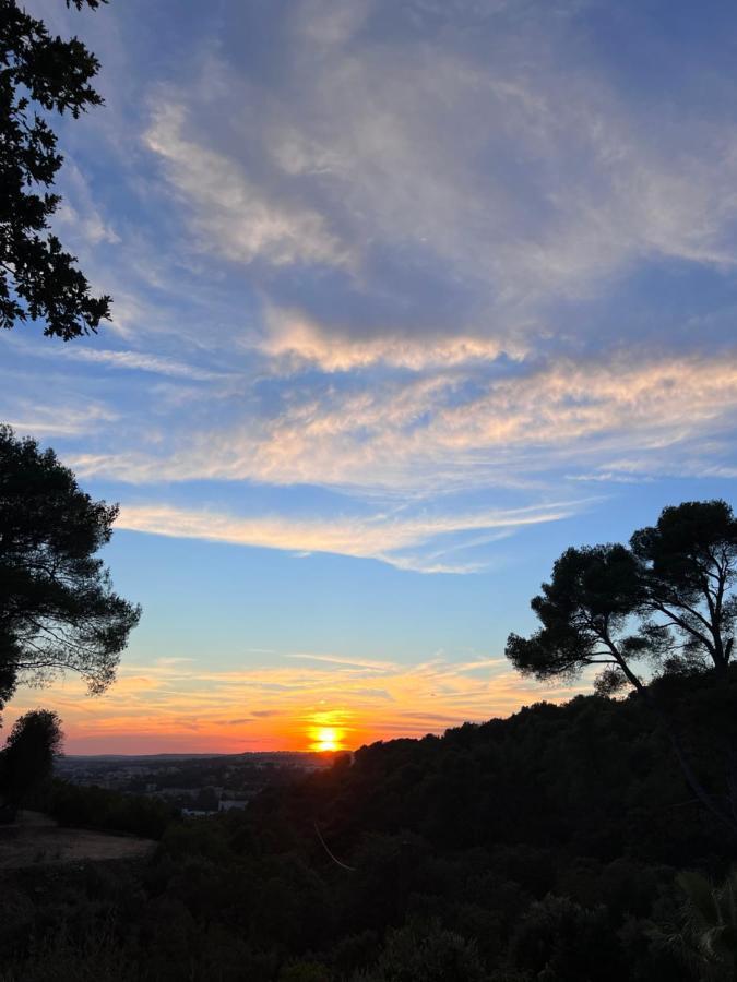 La Farigoule * Aix-en-Provence